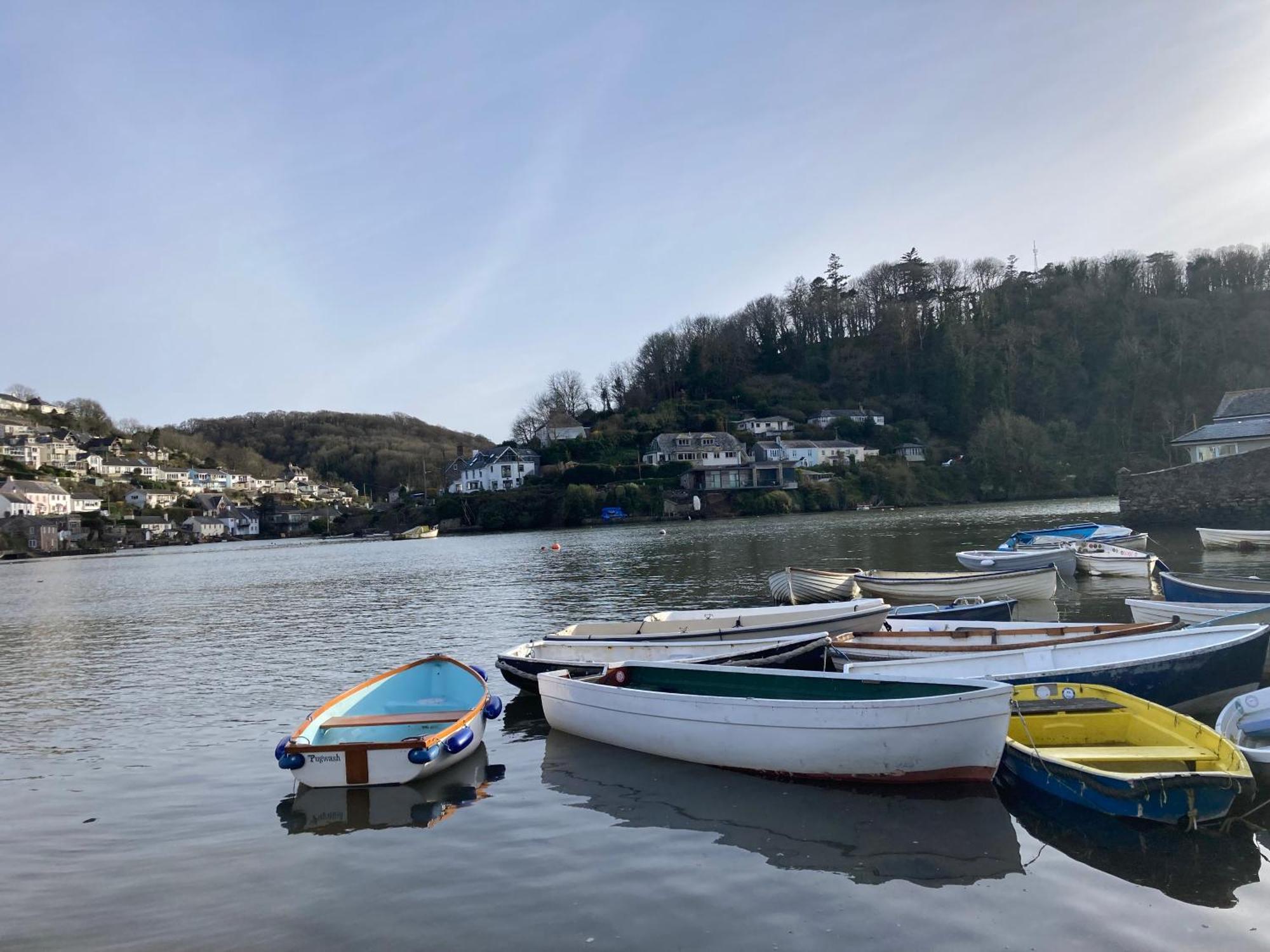 The Cottage , Newton Ferrers المظهر الخارجي الصورة